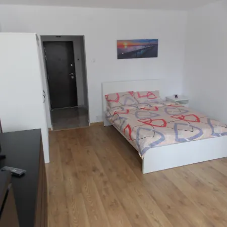 Apartment Garsoniera Moderna